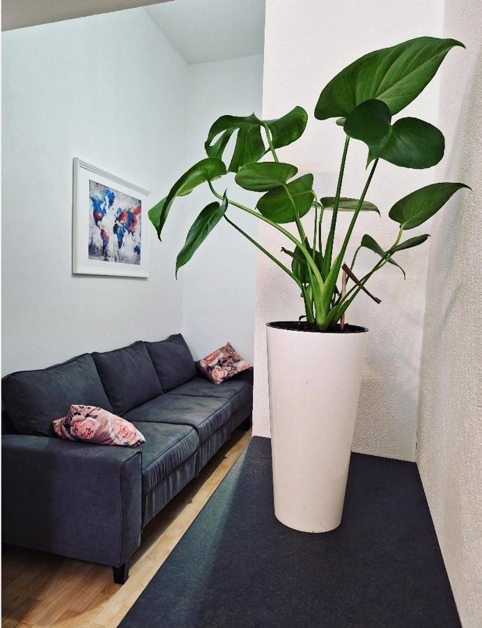 Apartment Ory 2 Between The Beach And City Center Pula Bagian luar foto